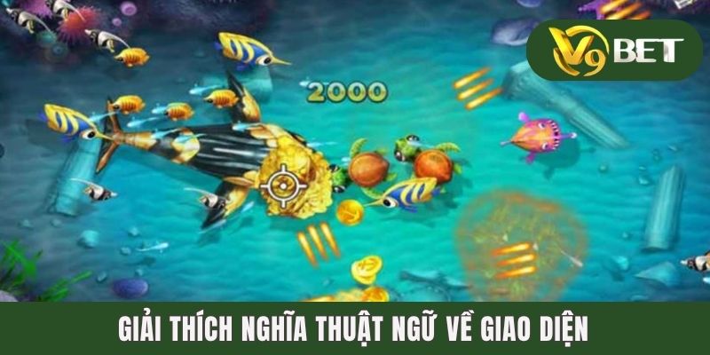 Giải thích nghĩa thuật ngữ về giao diện