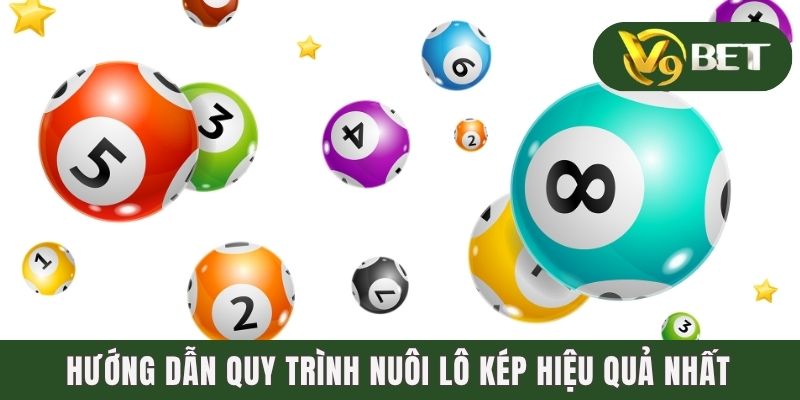 Hướng dẫn quy trình nuôi lô kép hiệu quả nhất