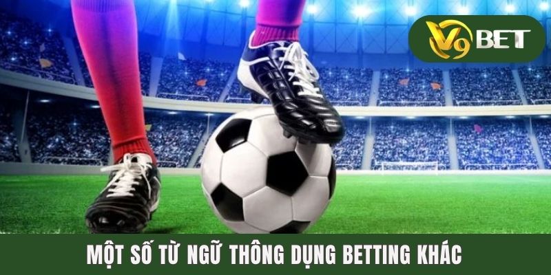 Một số từ ngữ thông dụng betting khác
