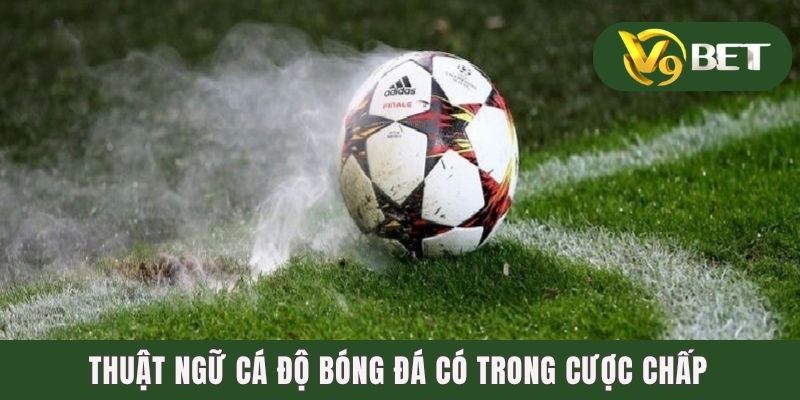 Thuật ngữ cá độ bóng đá có trong cược Chấp