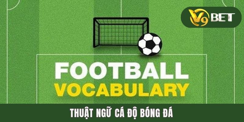 1001 Thuật Ngữ Cá Độ Bóng Đá Nhất Định Độ Thủ Phải Biết