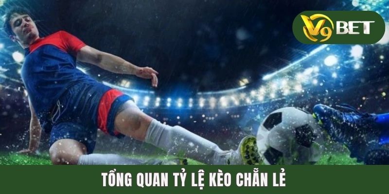 Tổng quan tỷ lệ kèo chẵn lẻ