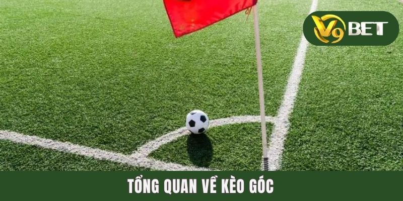 Tổng quan về kèo góc